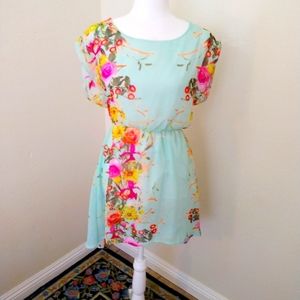 Triumph | Vintage Mint Green Floral Sheer High Low Dress
